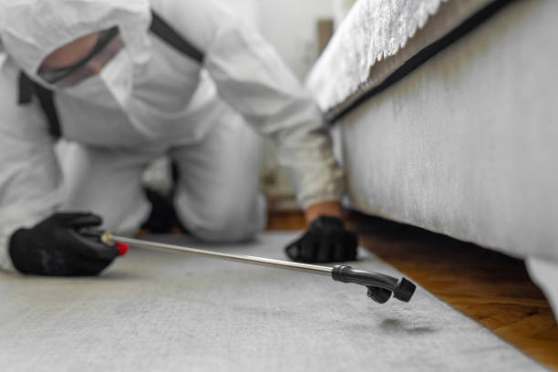 Professional Bed Bug Control technician working in Harrisburg, PA