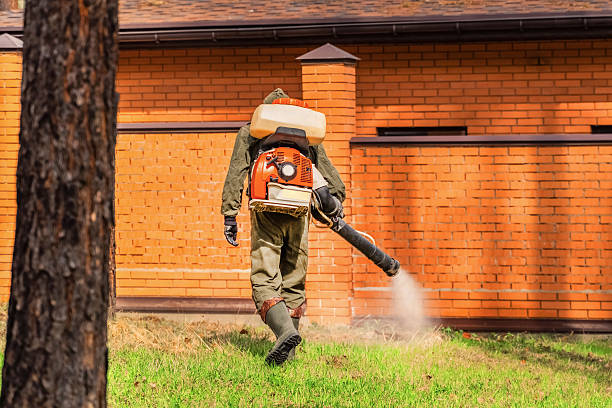 Trusted Cockroach Control service in Harrisburg, PA - Nex Pest Control